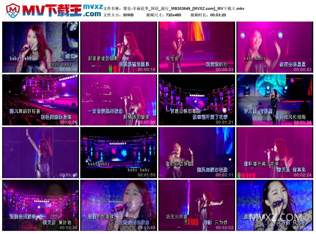 梁良-幸福花季_国语_流行_MB303649